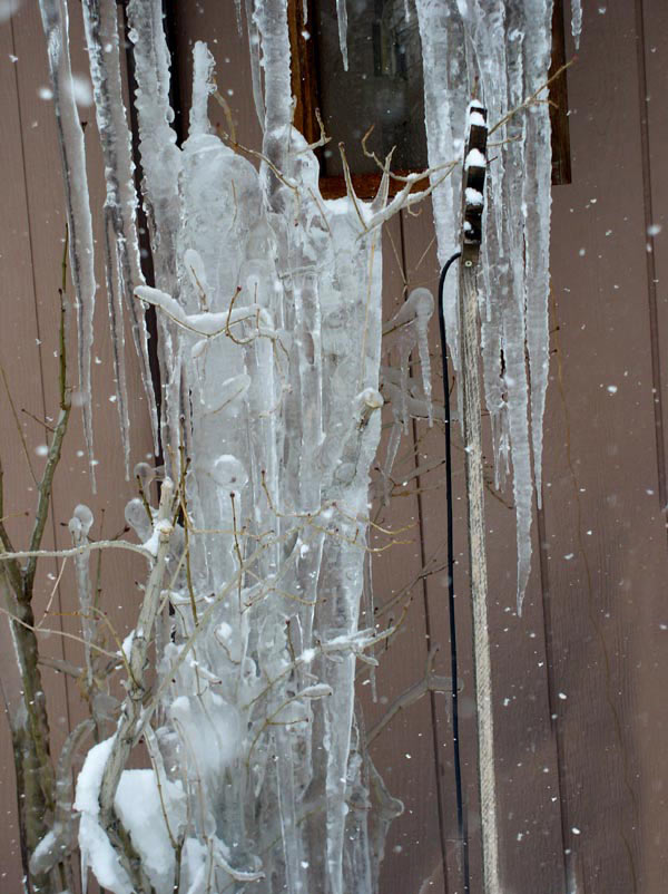icesculpture20web.jpg